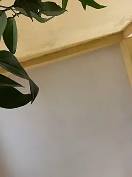 femboyslqueen online show from December 2025 06:40:02 AM