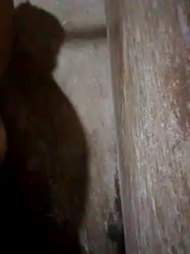 Lujor online show from April 2026 07:18:02 PM