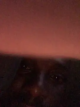 cuminsidebby online show from April 2026 04:15:01 AM