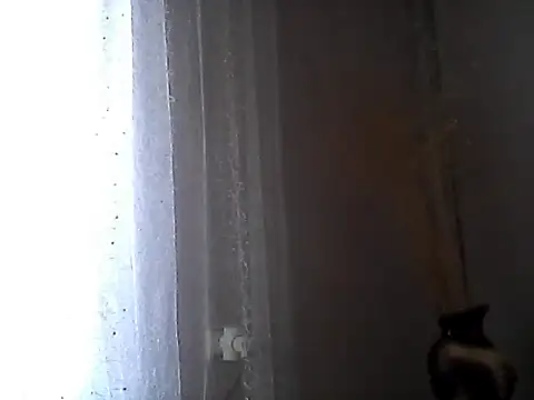 Littlecatme online show from July 2026 07:23:02 AM