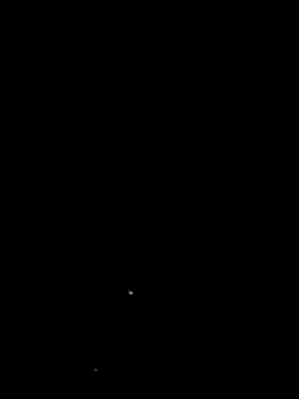 Mumuska online show from May 2026 08:28:01 PM