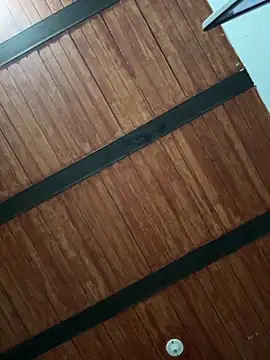 LiaCollings online show from April 2026 11:41:02 AM