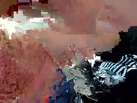 Snapshot of Earth_001 chatting on October 2025 02:19:01 PM Earth 001 online show from October 2025 02:19:01 PM