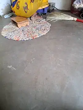 RAYI Queen 3 online show from November 2025 03:49:02 AM