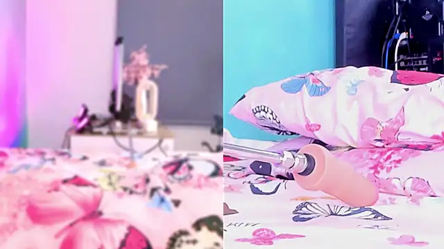 perla cm online show from April 2026 10:56:01 AM