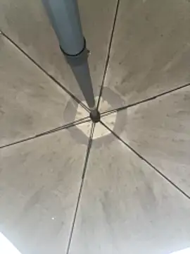 Sallem Pink online show from March 2026 11:17:02 AM