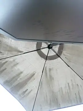 Sallem Pink online show from April 2026 11:18:02 AM