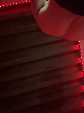 Snapshot of stripadlo chatting on November 2025 04:14:02 PM stripadlo online show from November 2025 04:14:02 PM