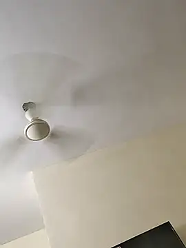 tamildarli online show from October 2025 05:00:01 PM