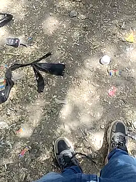 indian pavi online show from February 2026 07:24:01 AM