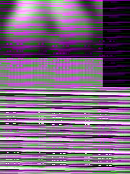 Cut rajbati online show from October 2025 08:51:01 AM