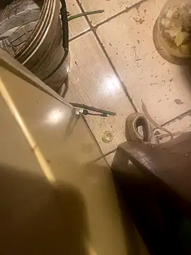 midravelta online show from November 2025 11:53:01 PM