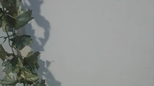 angelainparis28 online show from October 2025 08:12:01 AM