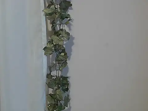 angelainparis28 online show from November 2025 04:58:02 AM