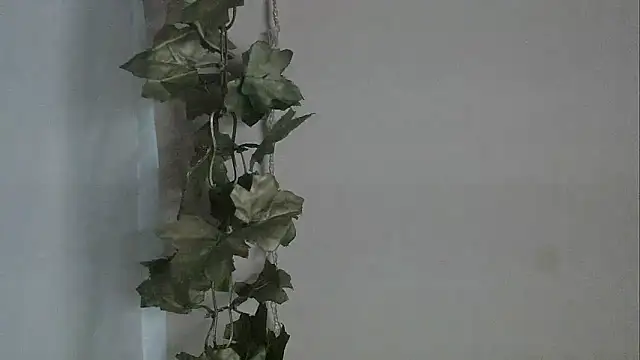 angelainparis28 online show from December 2025 05:02:02 AM