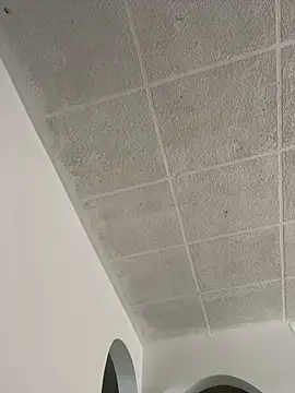 Snapshot of LICEET chatting on September 2025 03:27:02 PM LICEET online show from September 2025 03:27:02 PM