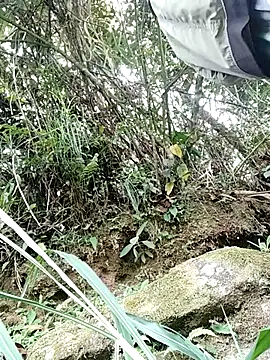 pitersonntt online show from February 2026 08:24:01 PM