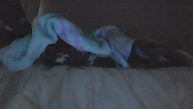 sarahkat86 online show from March 2026 11:35:01 AM