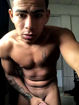 Novindot23cm online show from October 2025 01:12:01 PM