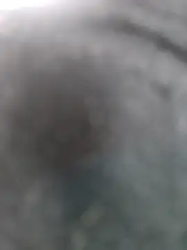 Snapshot of RinsedSulidae chatting on May 2026 11:44:01 PM RinsedSulidae online show from May 2026 11:44:01 PM
