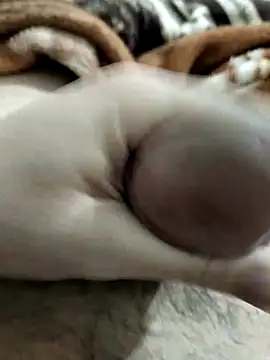 Zepe 12 online show from March 2026 10:12:01 PM