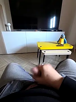 sonic197501 online show from February 2026 08:16:02 AM