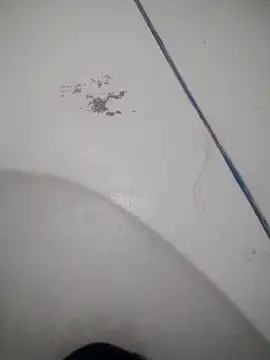 Celestial Field online show from April 2026 04:45:01 PM