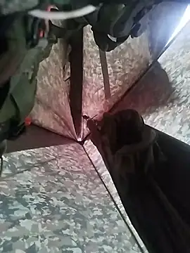 Alabestia12 online show from November 2025 09:48:01 PM