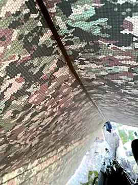 Alabestia12 online show from November 2025 11:21:02 AM