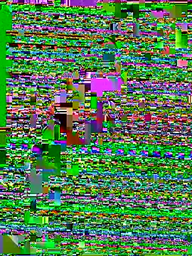 Jaydemasked online show from February 2026 09:57:02 AM