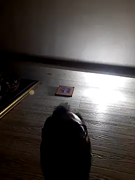 Hot-boy077 online show from February 2026 04:13:01 PM