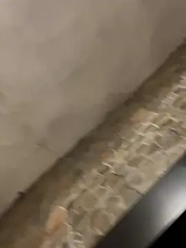 Snapshot of BrandonBlack chatting on February 2026 12:25:02 AM BrandonBlack online show from February 2026 12:25:02 AM