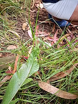 Snapshot of maxvergo chatting on April 2026 09:37:02 PM maxvergo online show from April 2026 09:37:02 PM