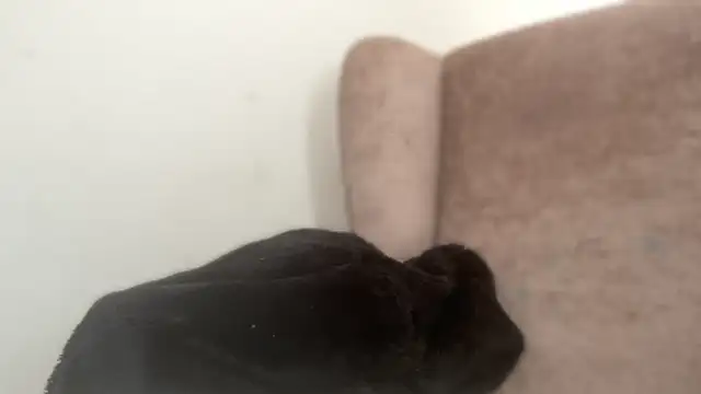 Curvysapphire online show from April 2026 01:25:02 PM