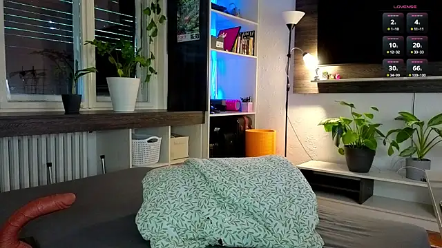dorfmatratze   online show from July 2026 04:31:02 PM
