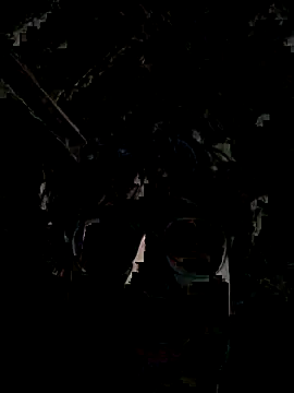 Kevintdx online show from September 2025 03:42:02 AM