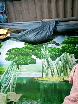 Snapshot of MaiHoa69 chatting on November 2025 02:57:02 PM MaiHoa69 online show from November 2025 02:57:02 PM