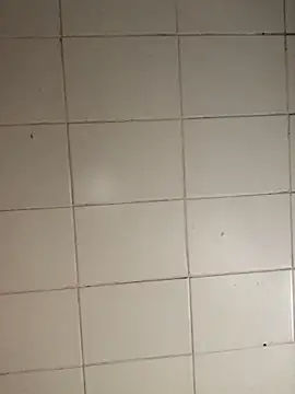 Novinhodotadomg online show from November 2025 08:09:01 PM