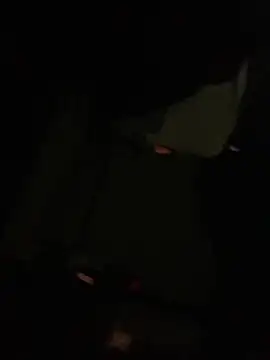 shakeweight online show from October 2025 07:42:01 AM