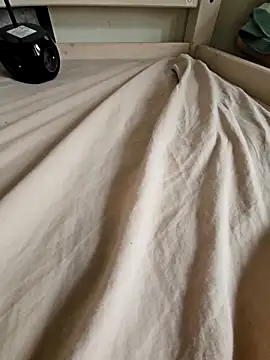 Snapshot of Stingles chatting on October 2025 01:42:02 PM Stingles online show from October 2025 01:42:02 PM