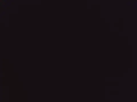 Hydtelegu online show from January 2026 10:21:02 AM