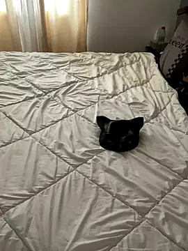 Snapshot of LesAmantsAE2 chatting on October 2025 08:13:01 AM LesAmantsAE2 online show from October 2025 08:13:01 AM