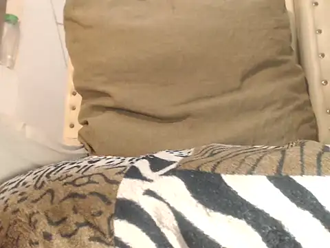 Snapshot of HOLYcummerTS chatting on December 2025 08:08:02 AM HOLYcummerTS online show from December 2025 08:08:02 AM