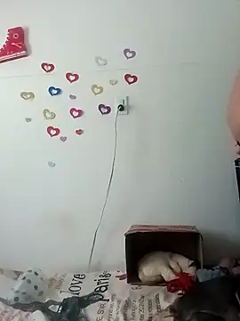 tany90 online show from November 2025 07:40:02 PM