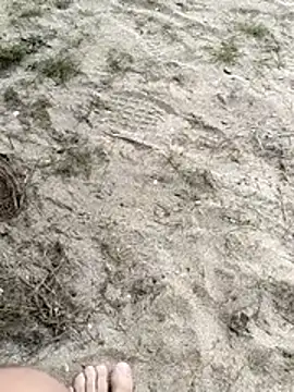 pegaso369 online show from February 2026 11:31:02 AM