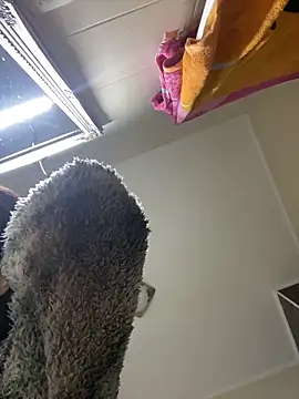 Lexi Storm online show from December 2025 05:48:01 AM