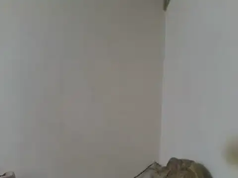 elpoop7305 online show from April 2026 07:49:02 PM