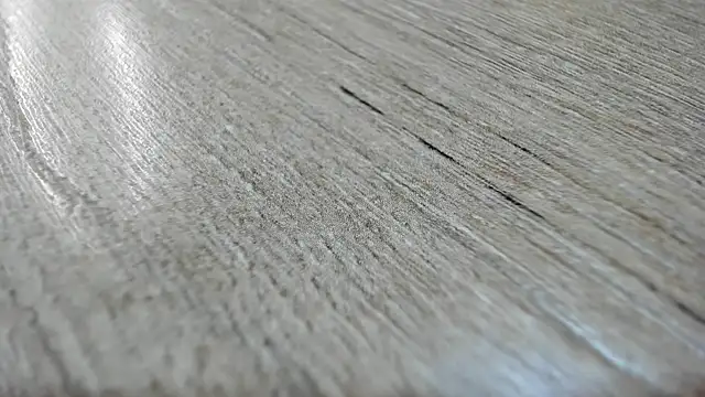 Miss Cataleya   online show from March 2026 11:37:01 AM