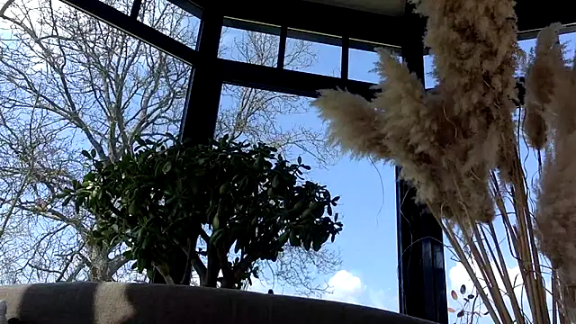 Snapshot of 3615-ULLA chatting on March 2026 11:57:01 AM 3615-ULLA online show from March 2026 11:57:01 AM