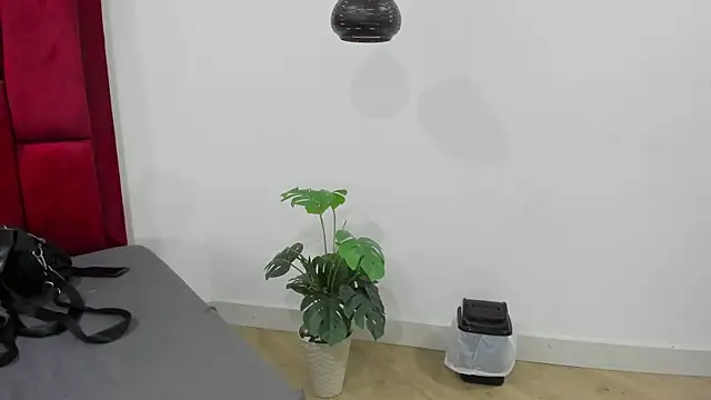 Snapshot of Mollyxketa1_ chatting on October 2025 11:23:01 PM Mollyxketa1  online show from October 2025 11:23:01 PM